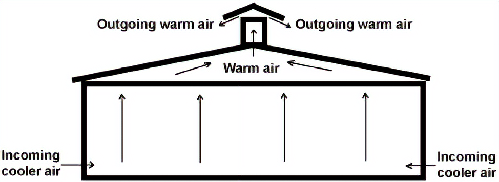 Diagram of a chicken house: arrows show incoming cool air at floor level, warming and rising, then exiting as warm air through a cupola on the roof.