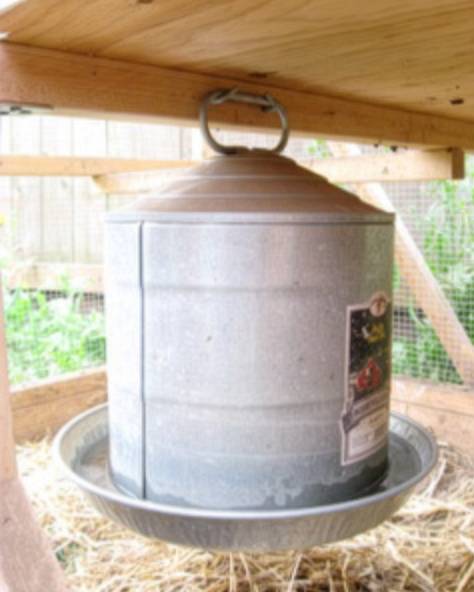 Galvanized metal hanging waterer.