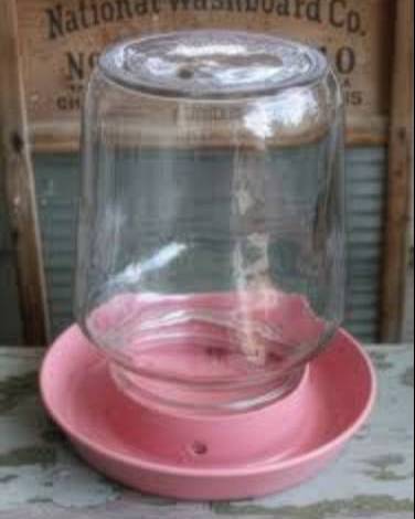 Pink plastic gravity waterer with clear glass jar reservoir