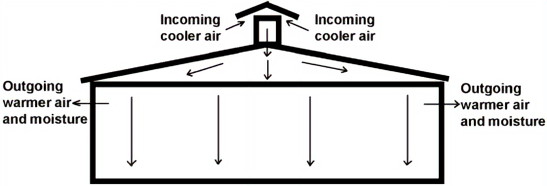 Diagram of a chicken house: arrows show incoming cool air entering through a cupola on the roof, dropping to the floor, then vented out through upper sidewalls as warmer air and moisture.