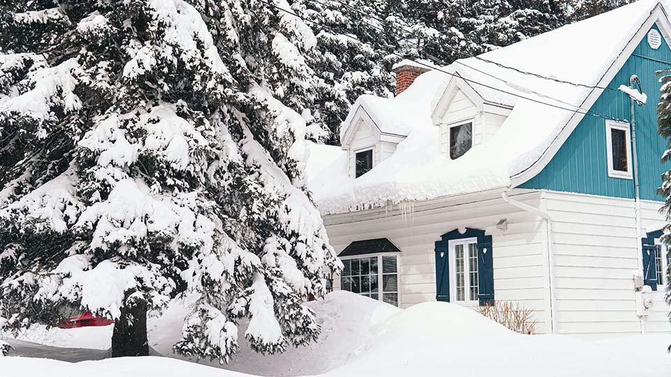 White home with blue gables, covered in snow and surrounded by evergreen trees