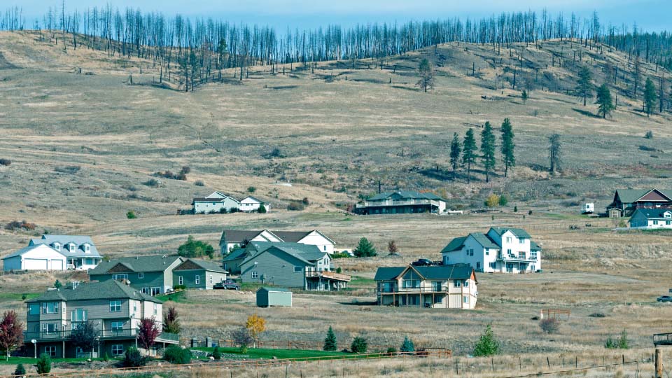 Houses below mountain burned by a wildfire