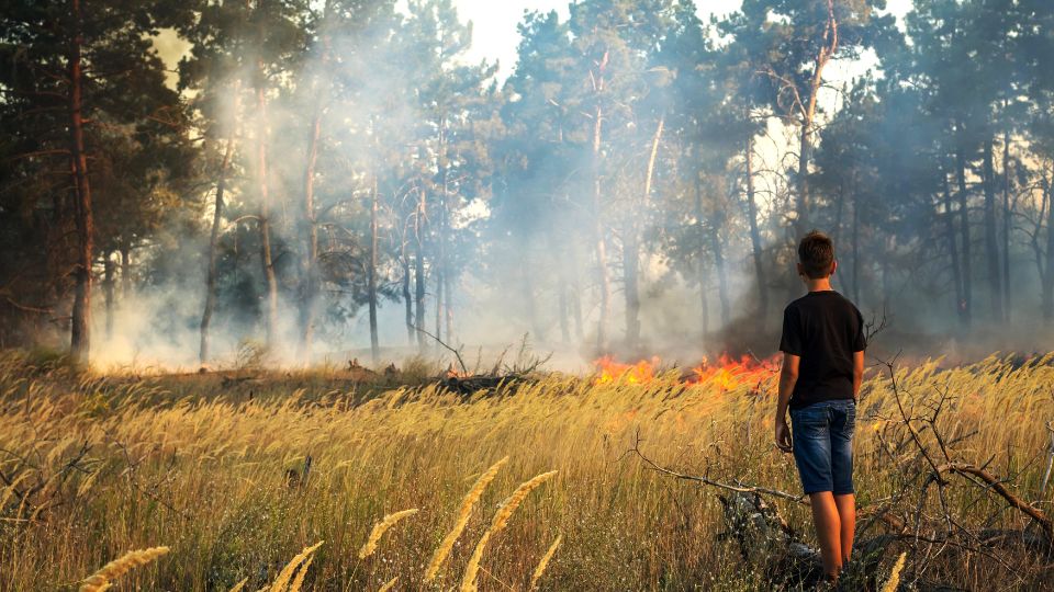 Wildfires and Adolescent Mental Health: A Call to Action