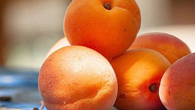 jak uchovat meruňky