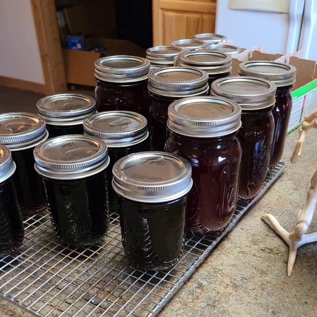 Chokecherry jellies and syrups in variety of glass jar sizes.