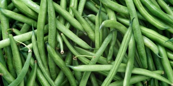 https://extension.usu.edu/preserve-the-harvest/images/greenbeans.jpg