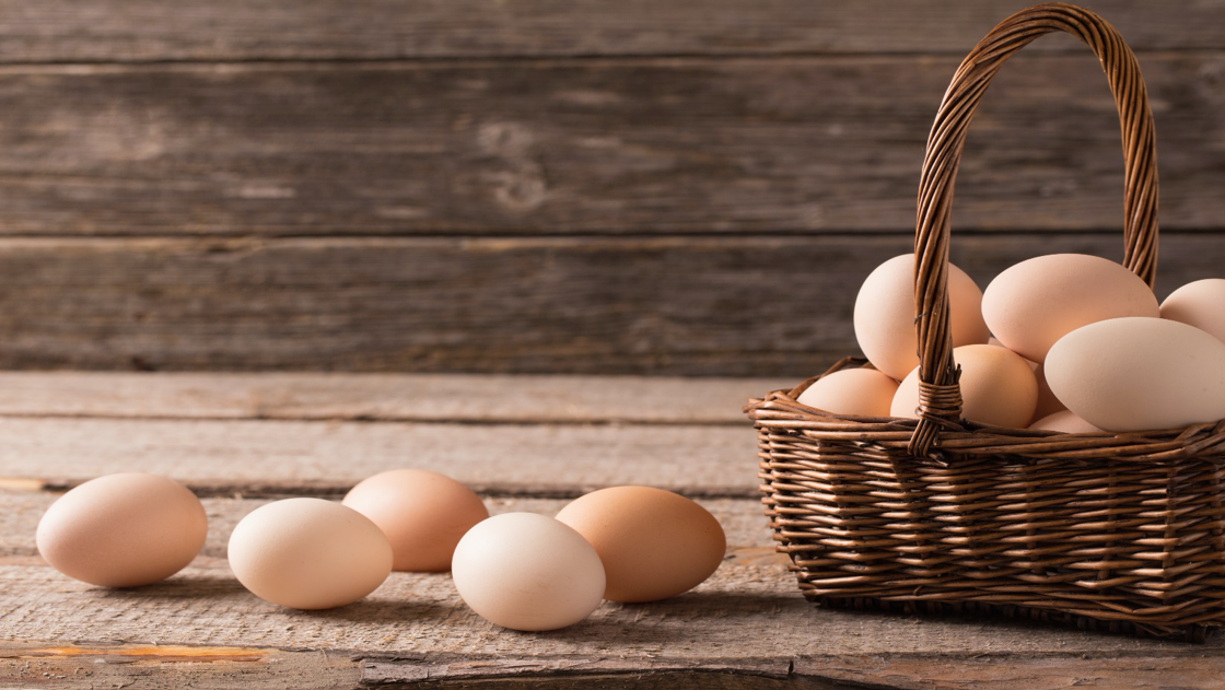Storing Eggs Safely