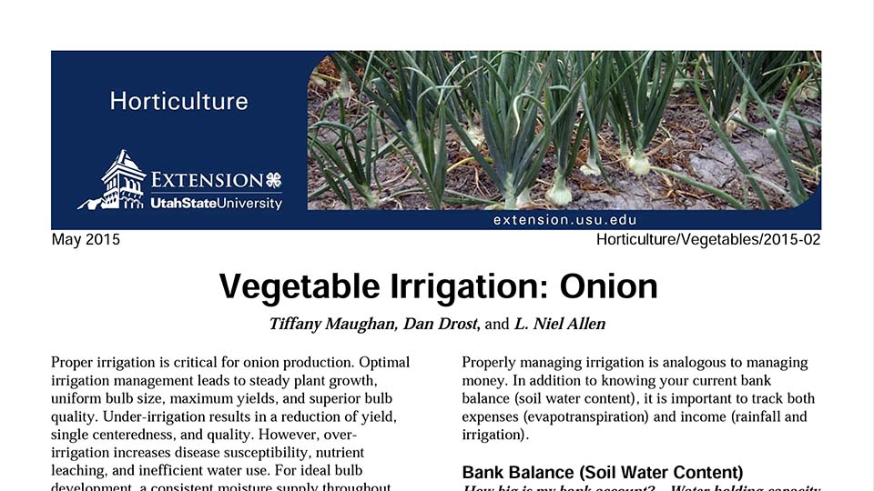 Onion fact sheet