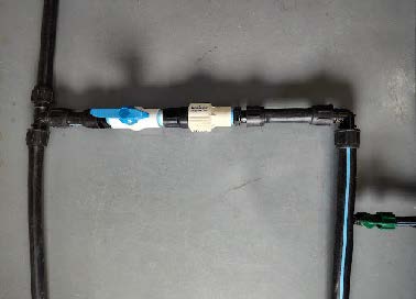 Main irrigation line connected to a pressure regulator and header.