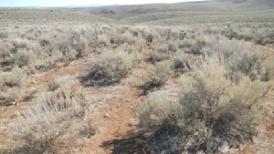 Utah Shrubland Management Project | USU