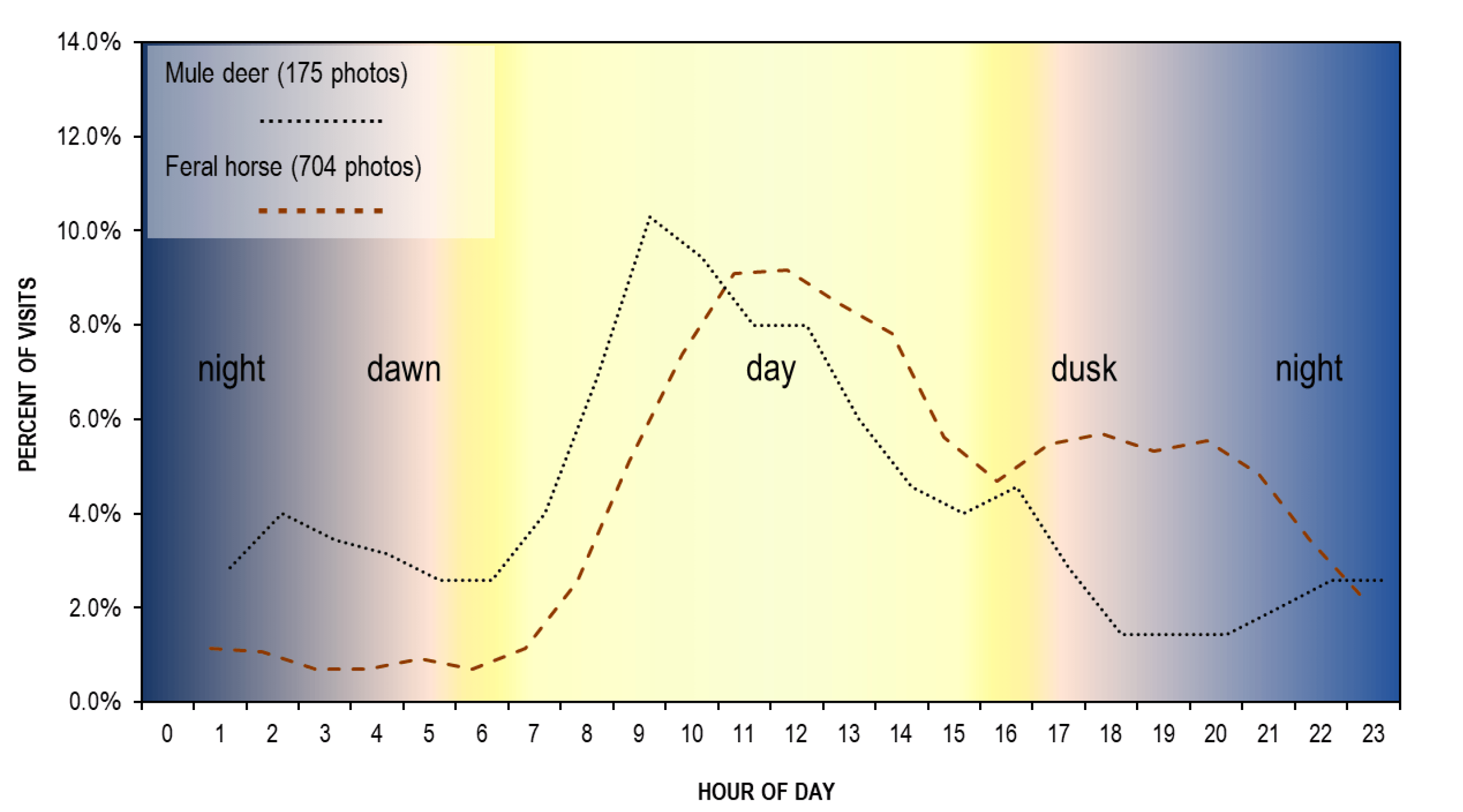 Line graph showing the percentage of camera trap visits by hour of day for mule deer (175 photos) and feral horses (704 photos). Mule deer activity rises sharply after dawn, peaks in the mid-morning (about 10% of visits around 9–10 a.m.), then declines through the afternoon and evening. Feral horse activity is very low overnight, increases after sunrise, peaks around midday (about 9% of visits), and remains relatively high through dusk before decreasing at night. Shaded background bands indicate night, dawn, day, dusk, and night.