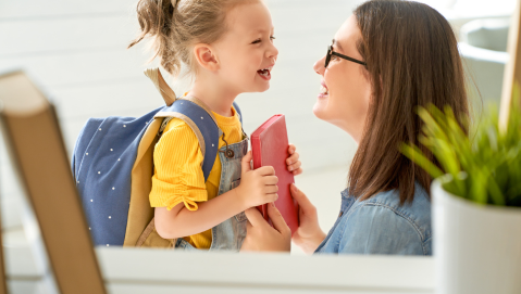 Aspects of Temperament and Parenting Strategies
