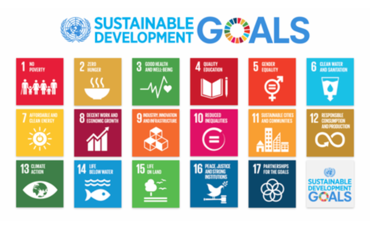 Virtual work enables a more sustainable future