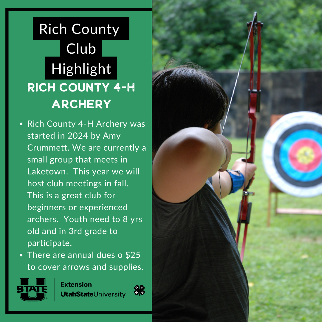 Archery Flyer