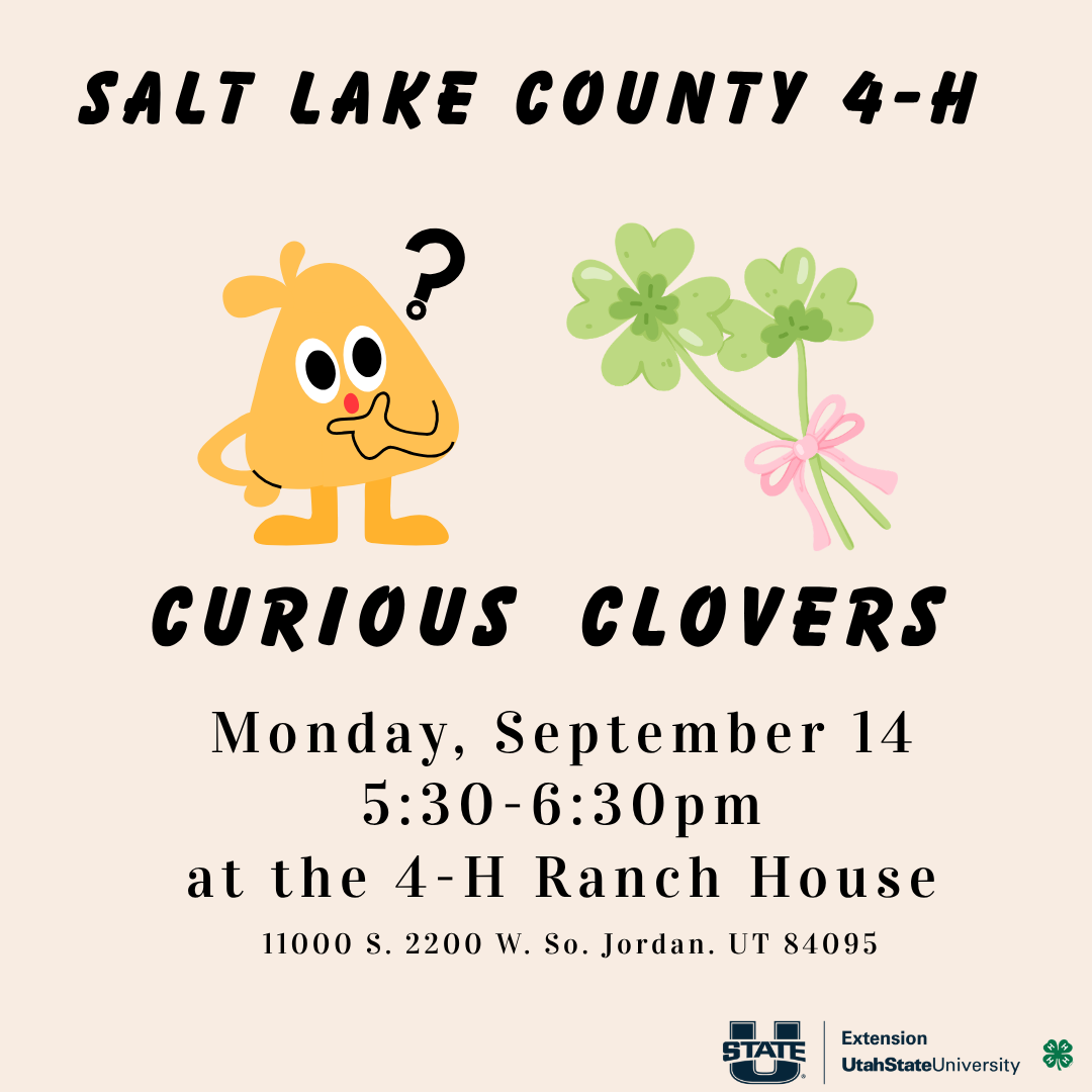 Curious Clovers