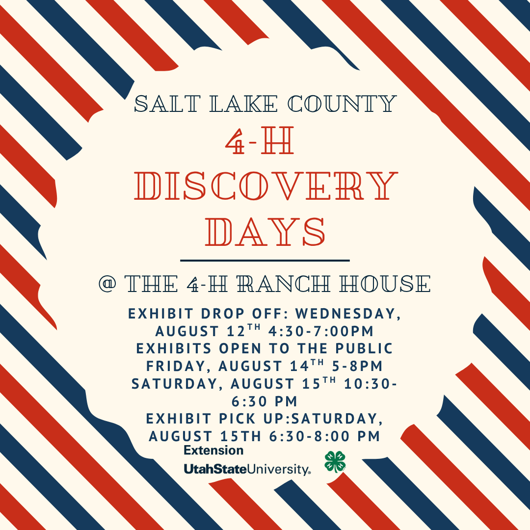  Discovery Days flyer 