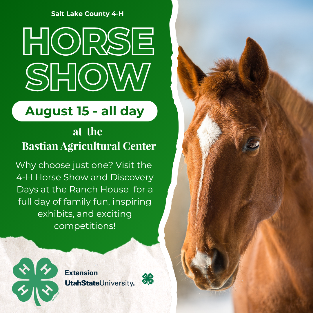 Horse Show