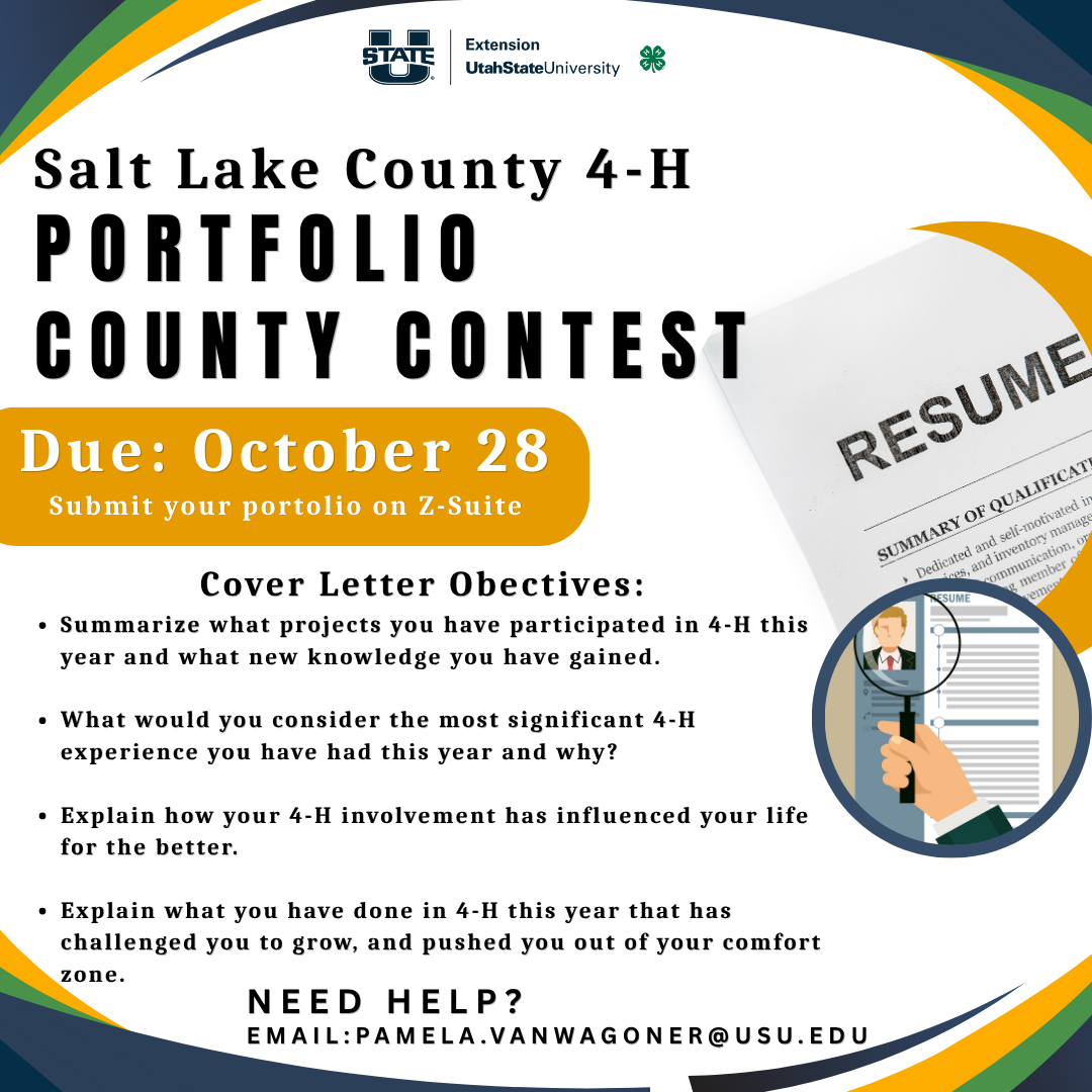 portfolio county contest