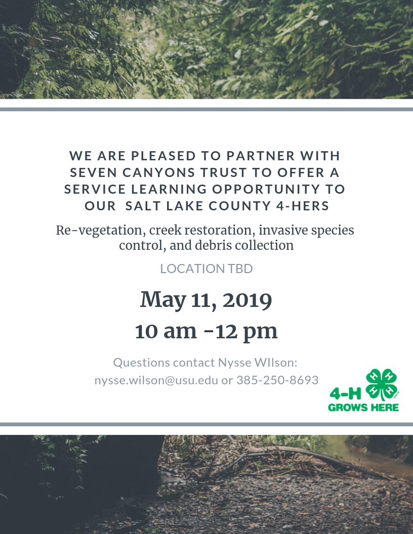 May County Service Project