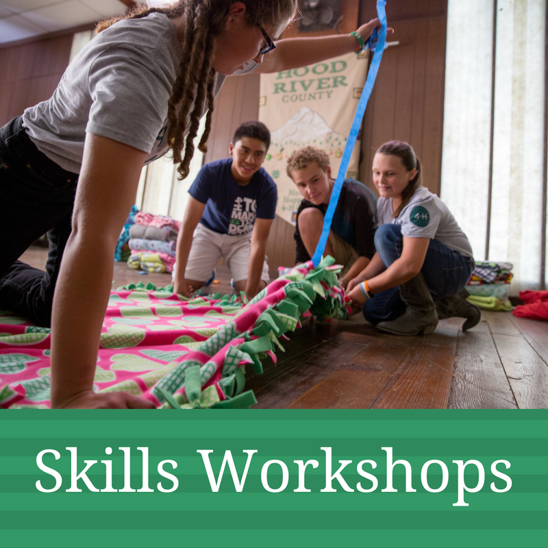 Skills Workshop Graphic