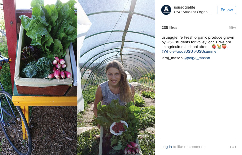 Instagram post by the USU Student Organic Farm to promote produce share