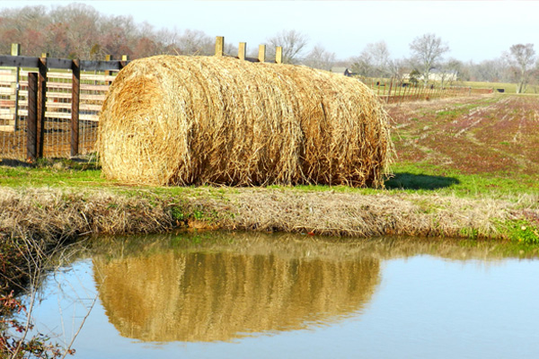 Hay bale near water