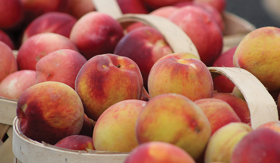 peaches available in baskets for CSA shareholders