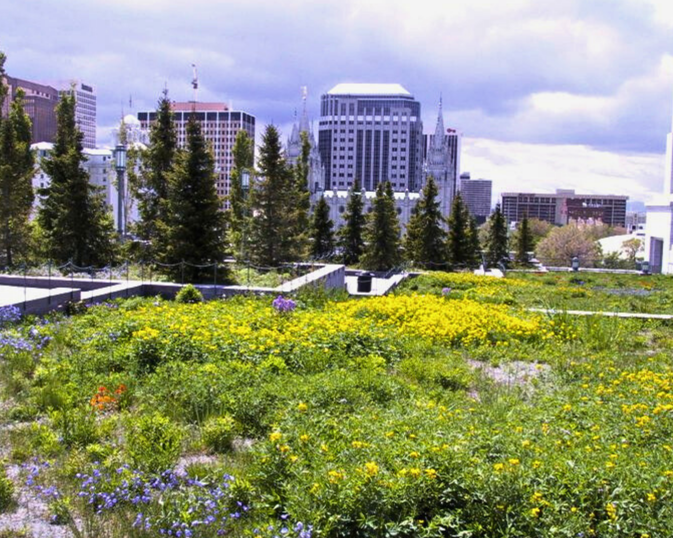 Green roof in Salt Lake City