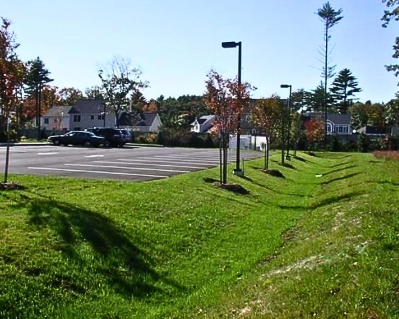 Vegetated strip example from UDWQ