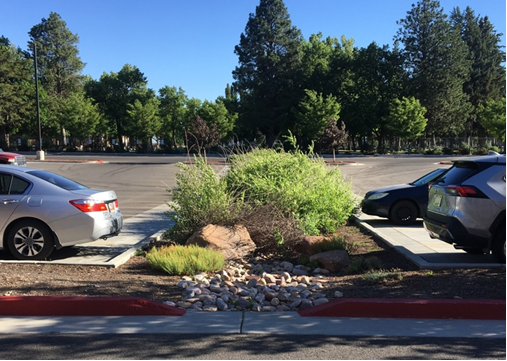 Image is of bioretention system on Utah State University campus in Logan, Utah. Image courtesy of Lilian Taft. 