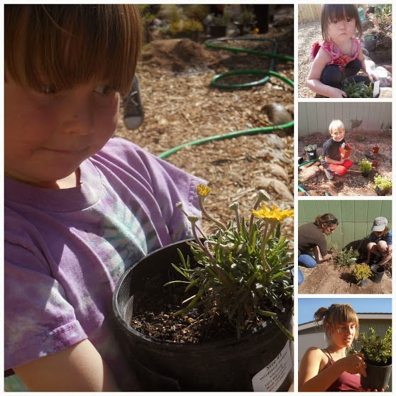 A collage of children working and playing in the garden.