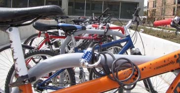 Bikes parked at bike rack