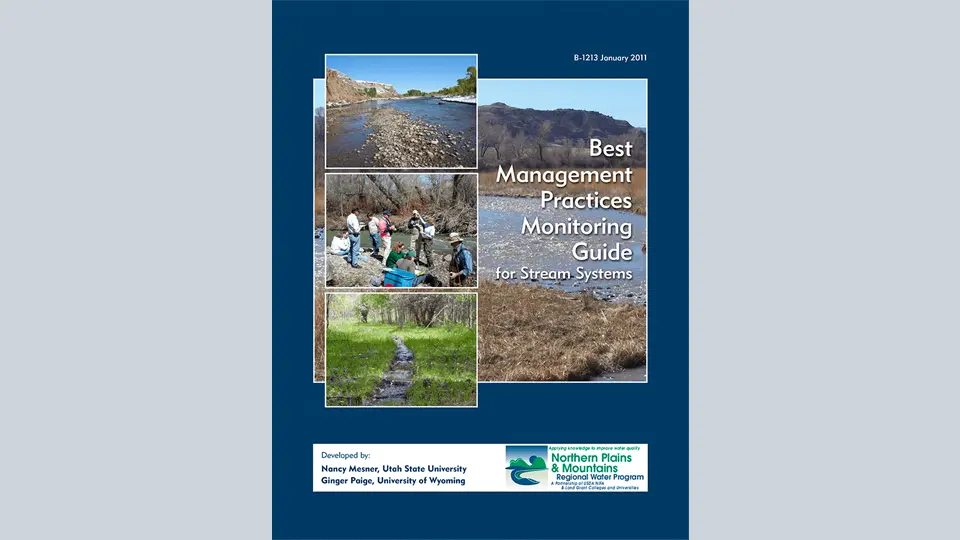 Best Management Practices Monitoring Guide for Stream Systems