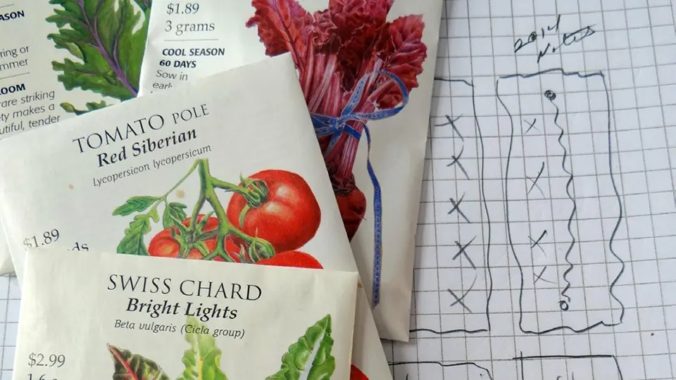 Seed packets on a sketch of garden plot arrangements drawn on graph paper