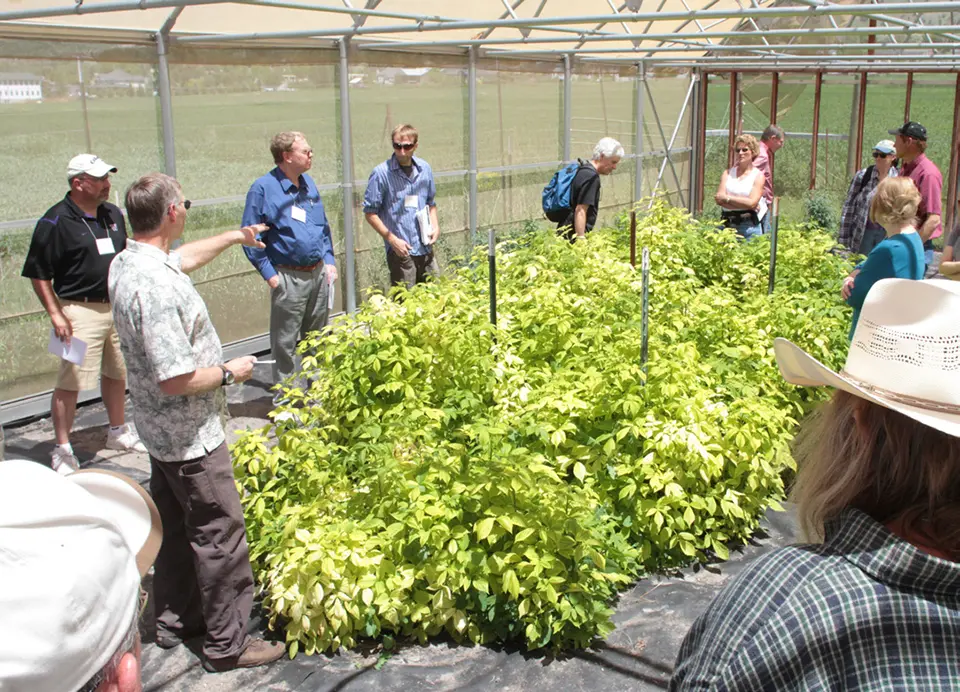 People touring a shaded hoop house