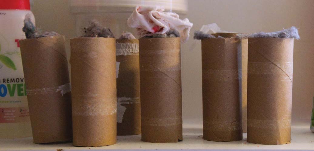 Cardboard toilet paper rolls filled with dryer lint