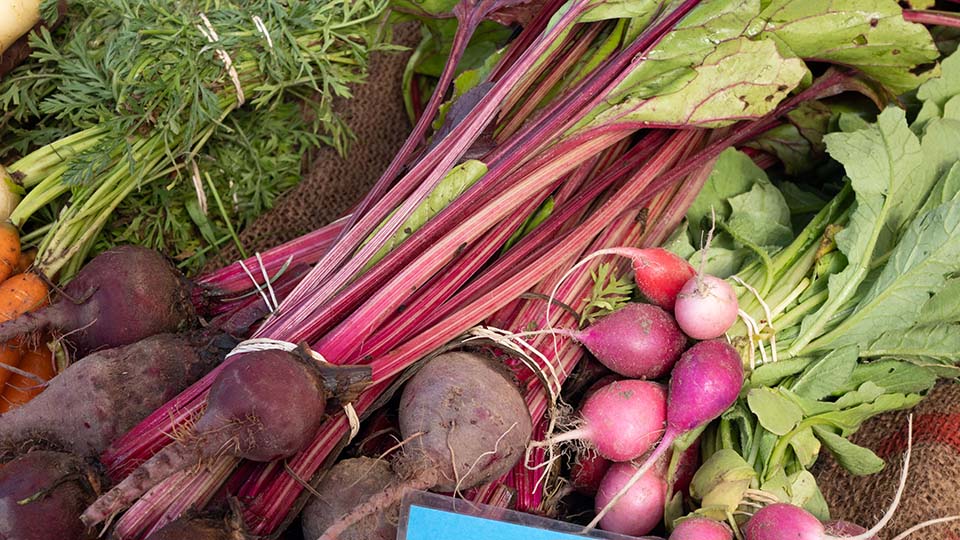 Beets and radishes on display at a market