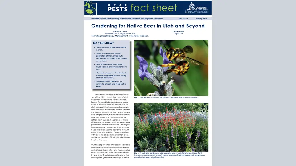 Gardening for Native Bees in Utah and Beyond