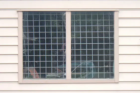 Window with a mesh wire grid inside