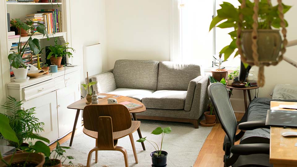Cozy room with inviting natural light and houseplants