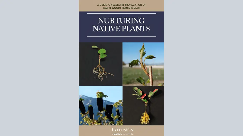 Nurturing Native Plants