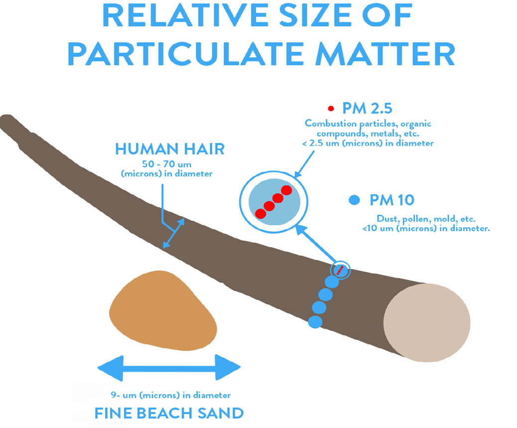 Diagram showing relative sizes of particulate matter. It depicts a human hair at 50-70 microns in diameter compared to fine beach sand at 9 microns. Close-up views show 'PM 2.5' particles, including combustion particles, organic compounds, and metals, all under 2.5 microns, and 'PM 10' particles like dust, pollen, and mold, under 10 microns. The PM 2.5 microns are small enough to fit several times on a PM 10 particle.