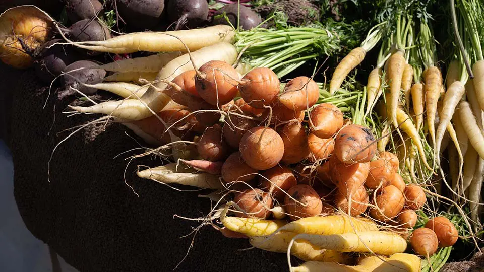 Carrots and other fresh produce