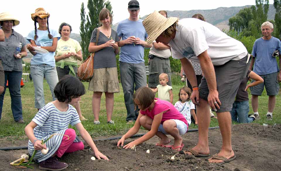Adult supervising children in garden plot