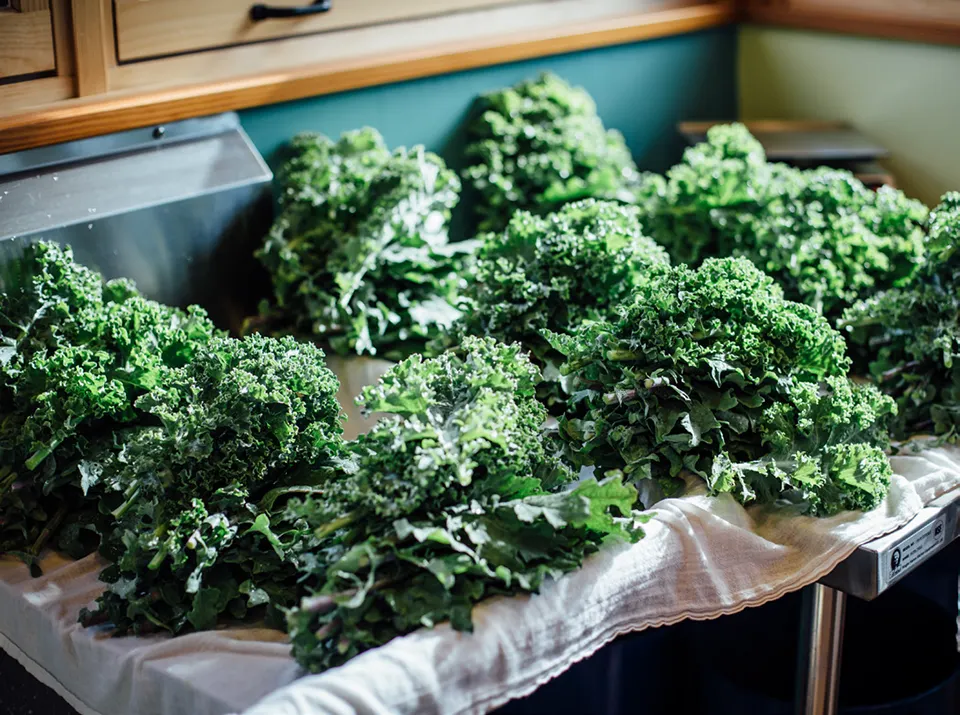 bunches of kale on a table