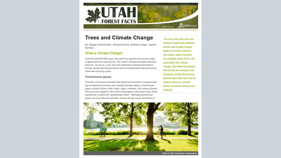 Trees and Climate Change