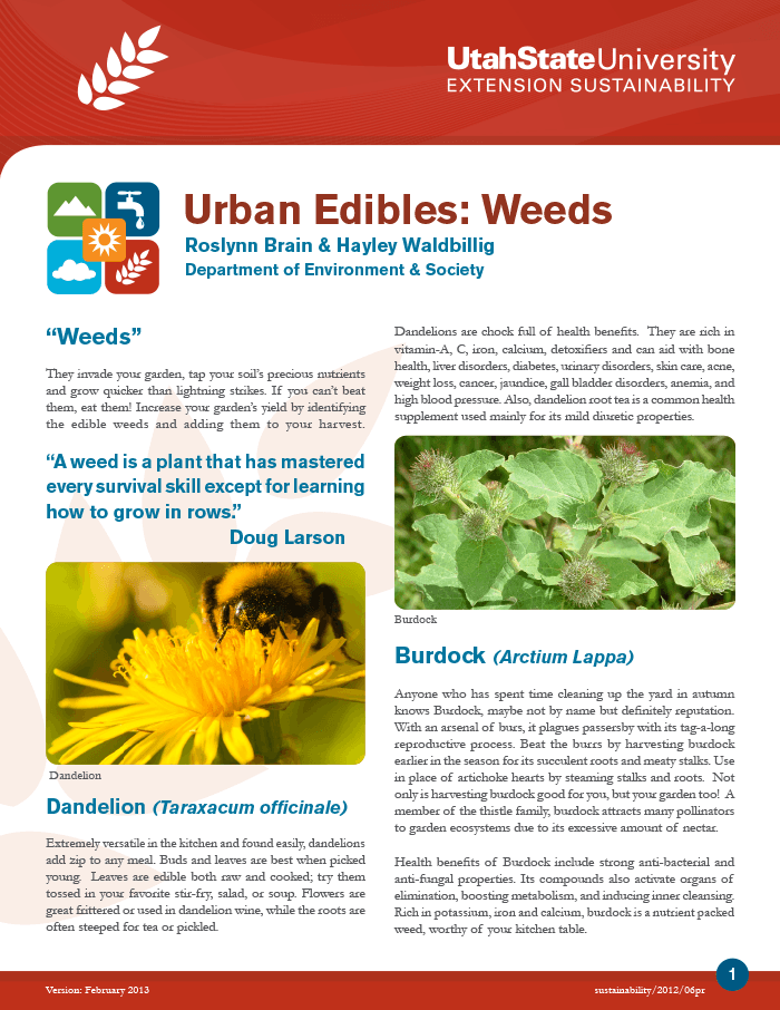 Health Benefits of Edible Flowers and Leaves