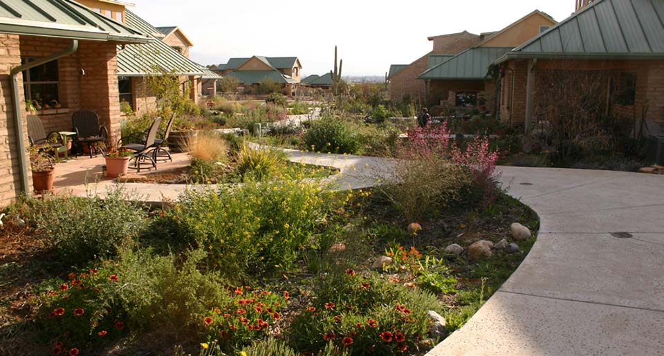 Garden beds incorporating garden basins or swells