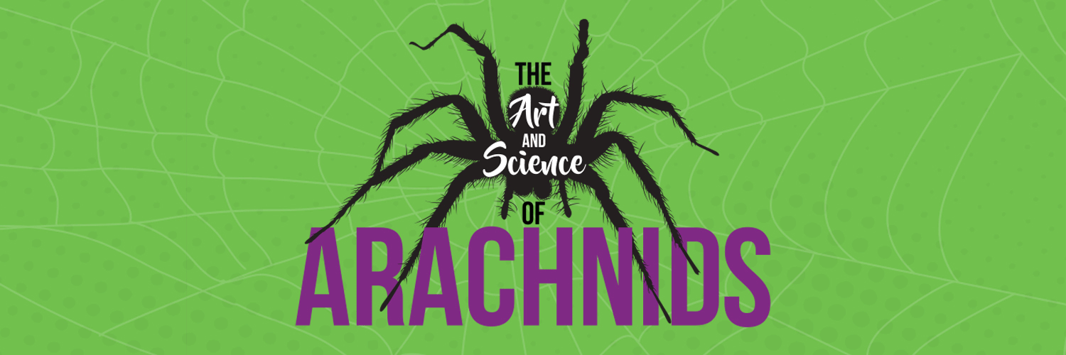 Art and Science of Arachnids