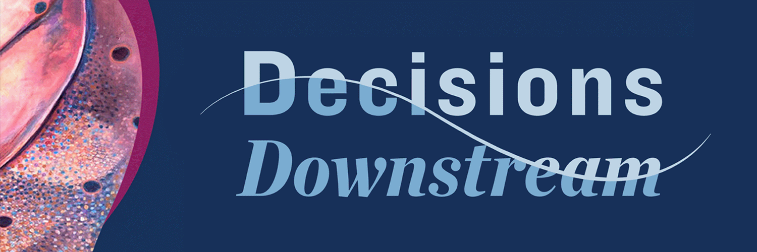 decisions downstream